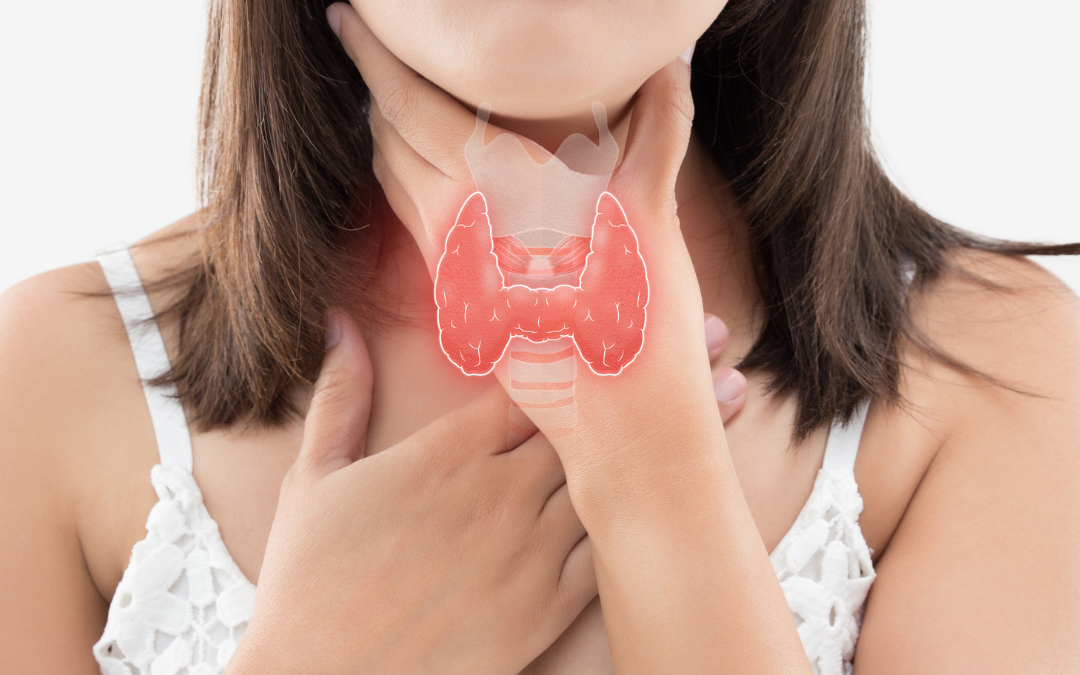 “Thyropause” – The Connection between Perimenopause & Thyroid Disease